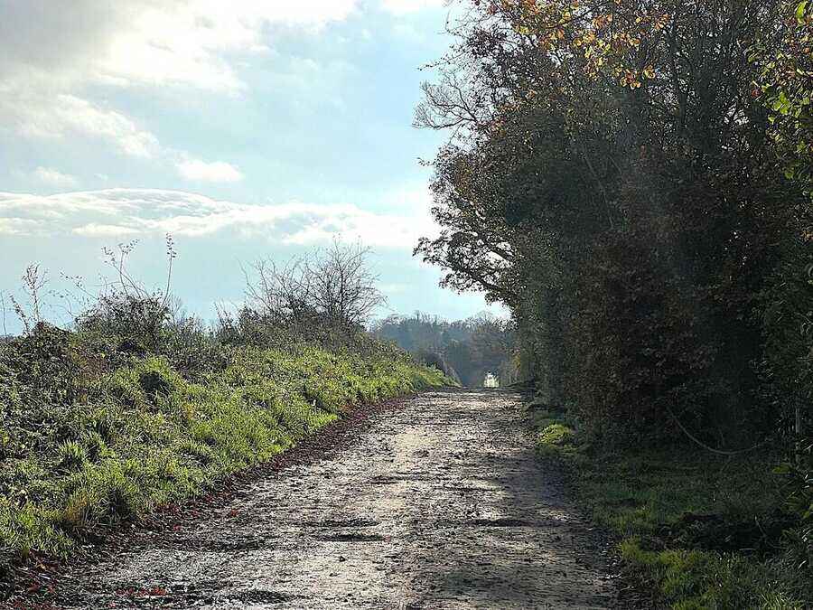 Property photo 6