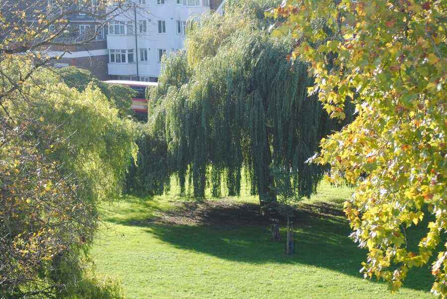 Property photo 6